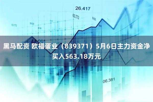 黑马配资 欧福蛋业（839371）5月6日主力资金净买入563.18万元